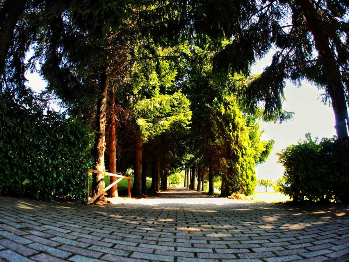 Villa Casa Vacanza Pratolungo Zogno Exterior foto